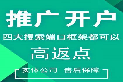 成功案例：sem竞价托管的智慧与策略